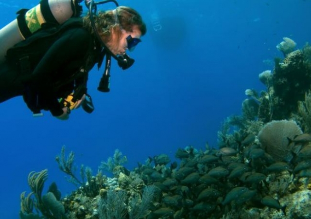  Diving trip with the Nosy Be Too